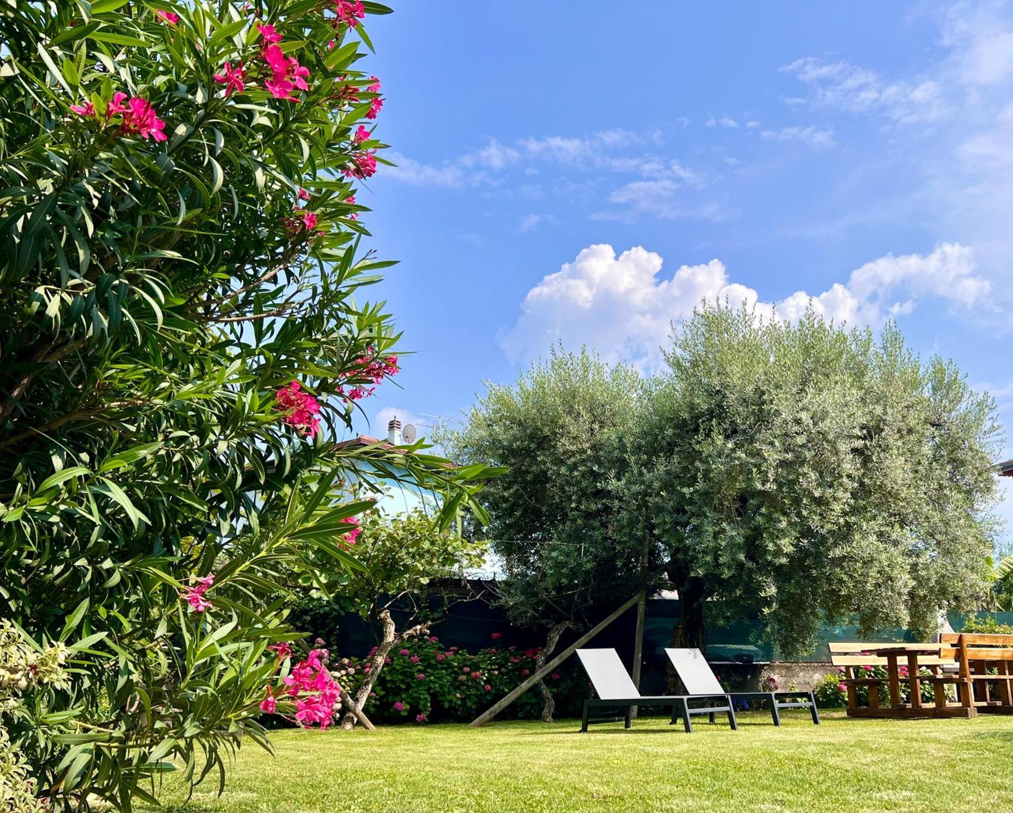Apartment Villa Verde *